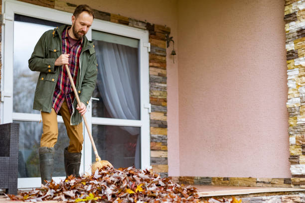 Debris Removal in Cohasset, MN